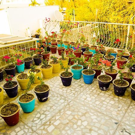 Bed and Breakfast Safarnama Agra Агра Экстерьер фото